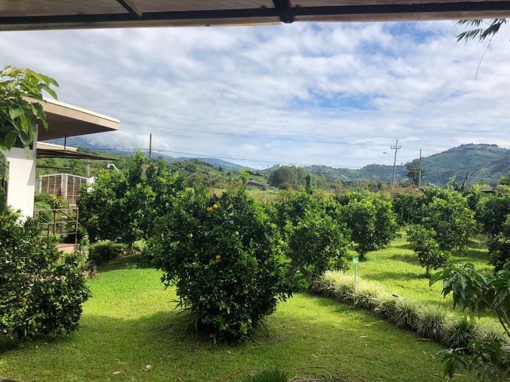Posada Canaveral Ujarrás Dış mekan fotoğraf